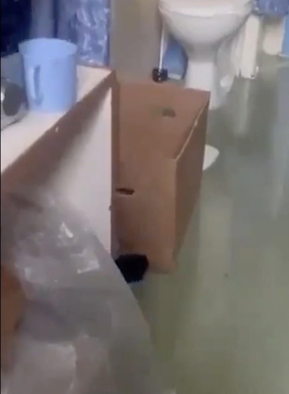 網黃女獄警為流量，與男囚犯拍愛情動作片