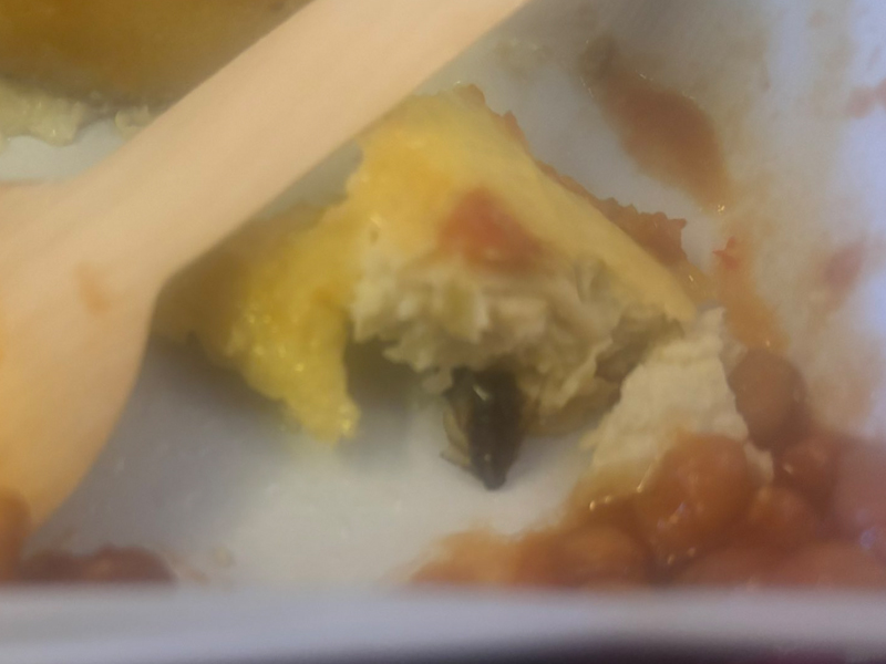 飛機餐驚見蟑螂屍體，兩歲兒食物中毒