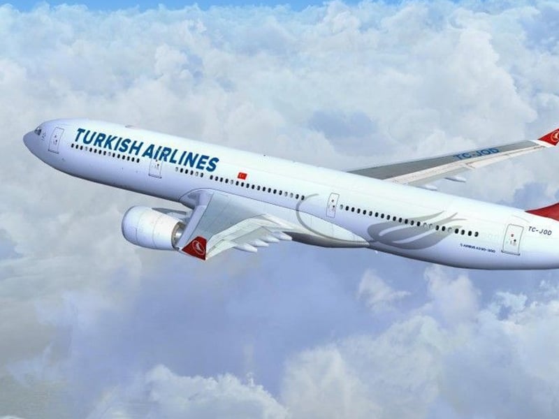機長飛行途中猝逝！客機緊急迫降紐約