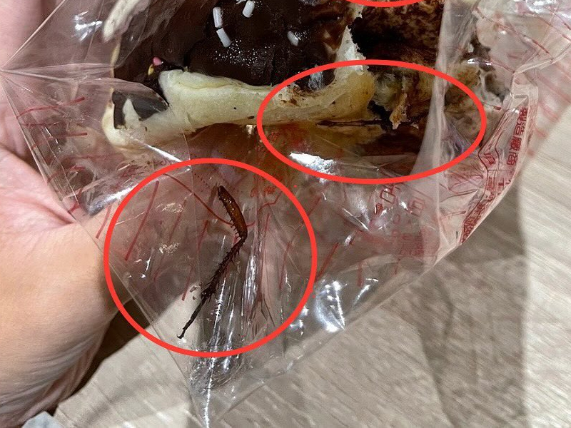 麵包咬到脆脆的感覺，竟發現是巨大蟑螂