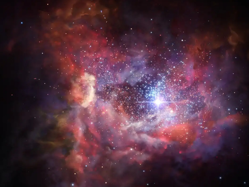 11 月星座運勢一覽 11 月星座運勢一覽