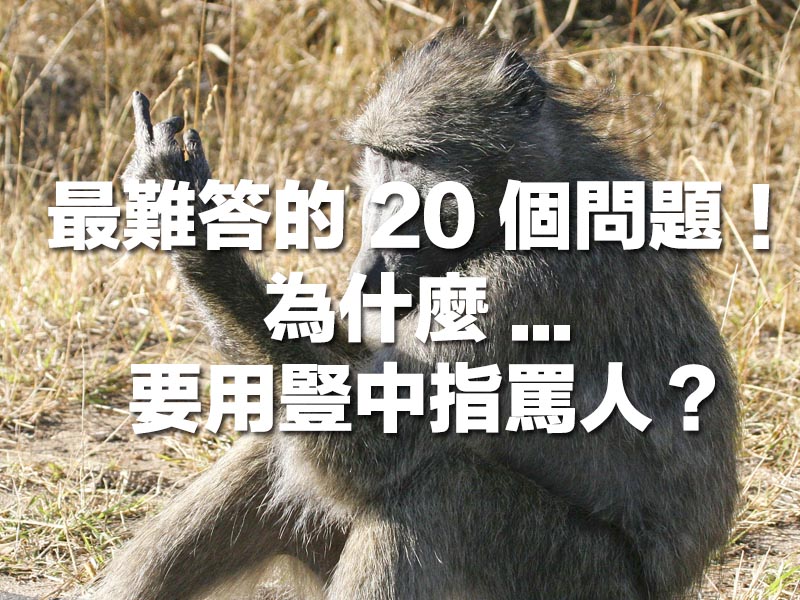 最難答的 20 個問題! 最難答的 20 個問題!