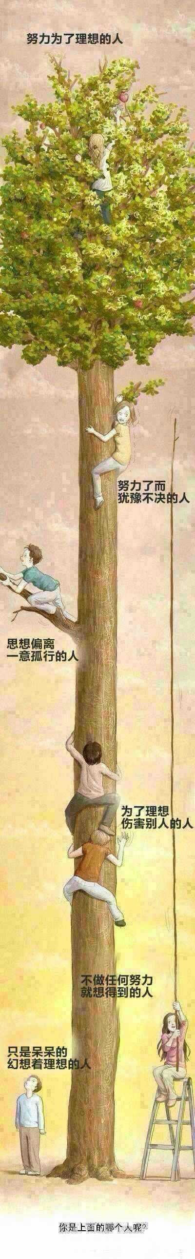 這棵樹上哪個人像你