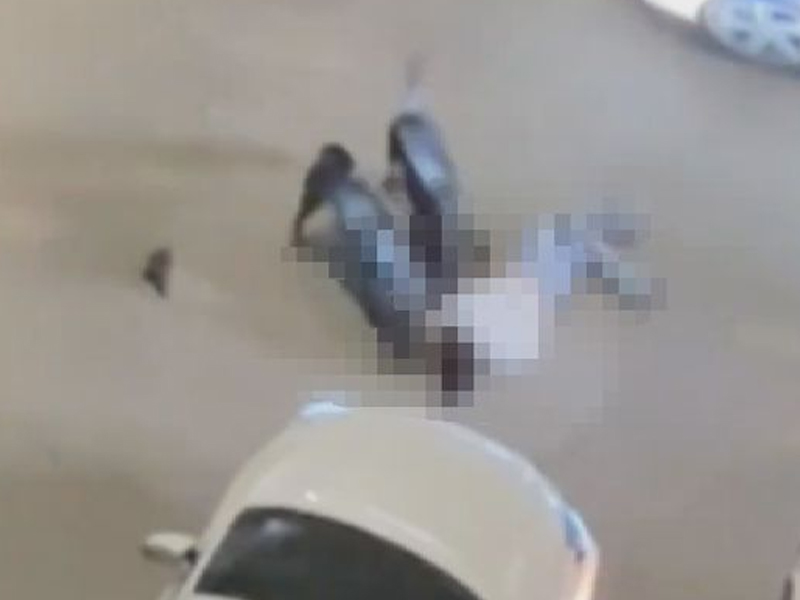 女子清晨遭兩大型犬撕咬 司機鳴笛阻擋助脫險