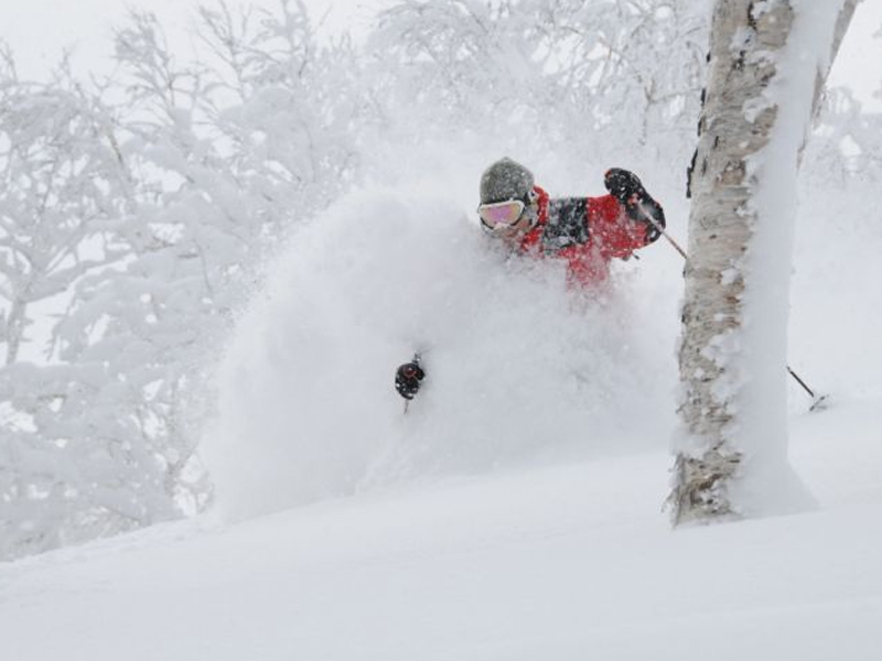 日本滑雪粉雪再奪命!中國遊客意外窒息身亡 日本滑雪粉雪再奪命!中國遊客意外窒息身亡