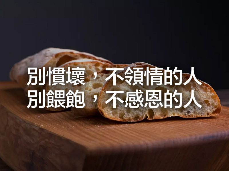 別慣壞,不領情的人;別餵飽,不感恩的人 別慣壞,不領情的人;別餵飽,不感恩的人