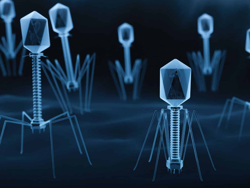 科學家在土壤中，首次發現巨型病毒