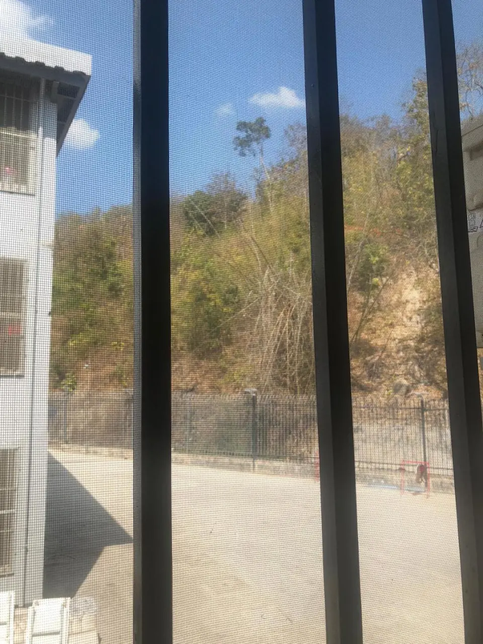 KK 園區 2.0 內貌首曝光