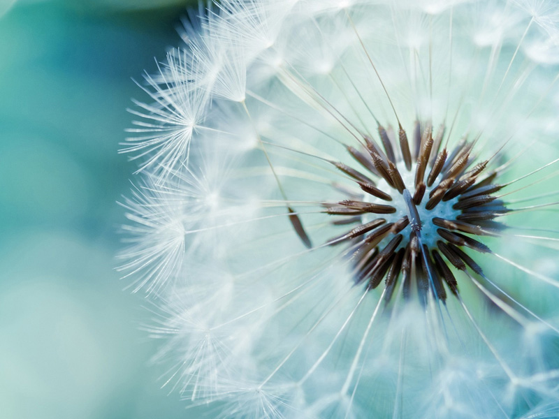 有個愛你的人不容易，你為何不去好好珍惜！