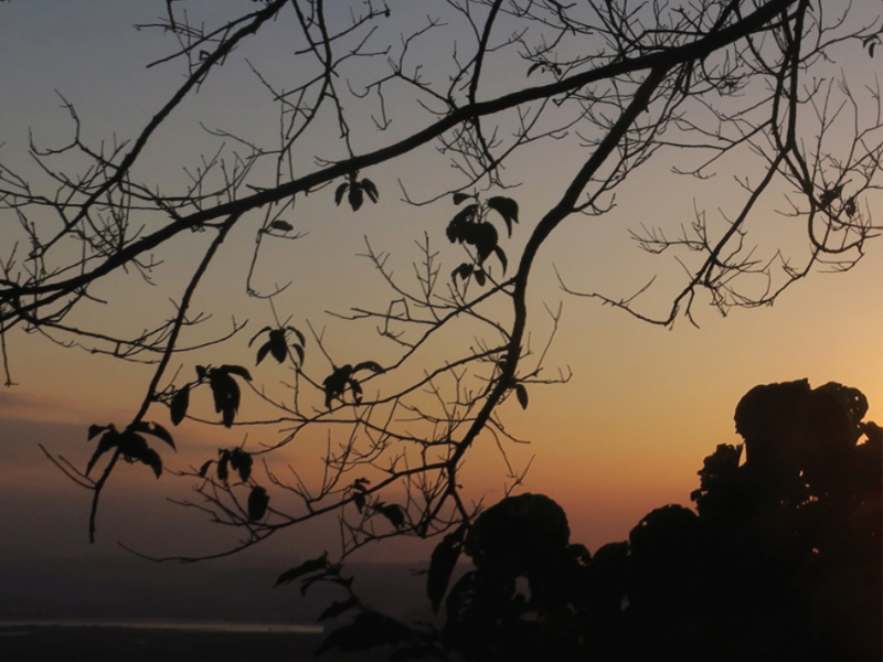 珍惜一個人的陪伴