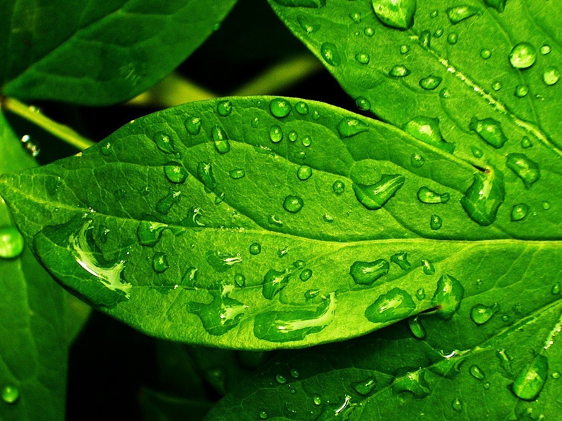 人生短暫，善待自己